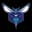 Charlotte Hornets