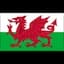 Wales U20